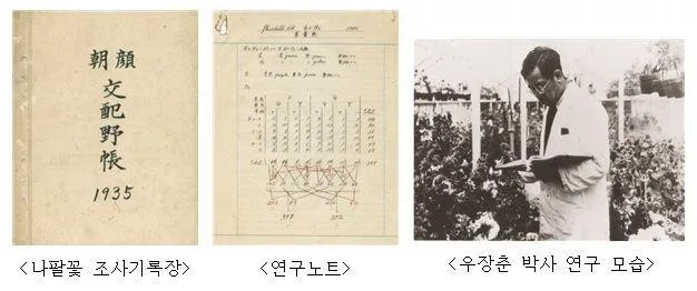 울타리없는학교 [1주년 특집 연재][5회] 헌신: 붉은 빚을 푸른 싹으로 틔운 ‘역사의 스승’후쿠오카의 바람 끝에서 만난 이름, 우장춘 · 13